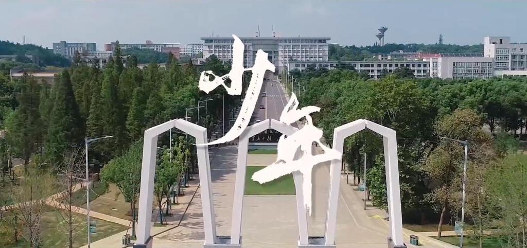 久久精品国产精品九九99