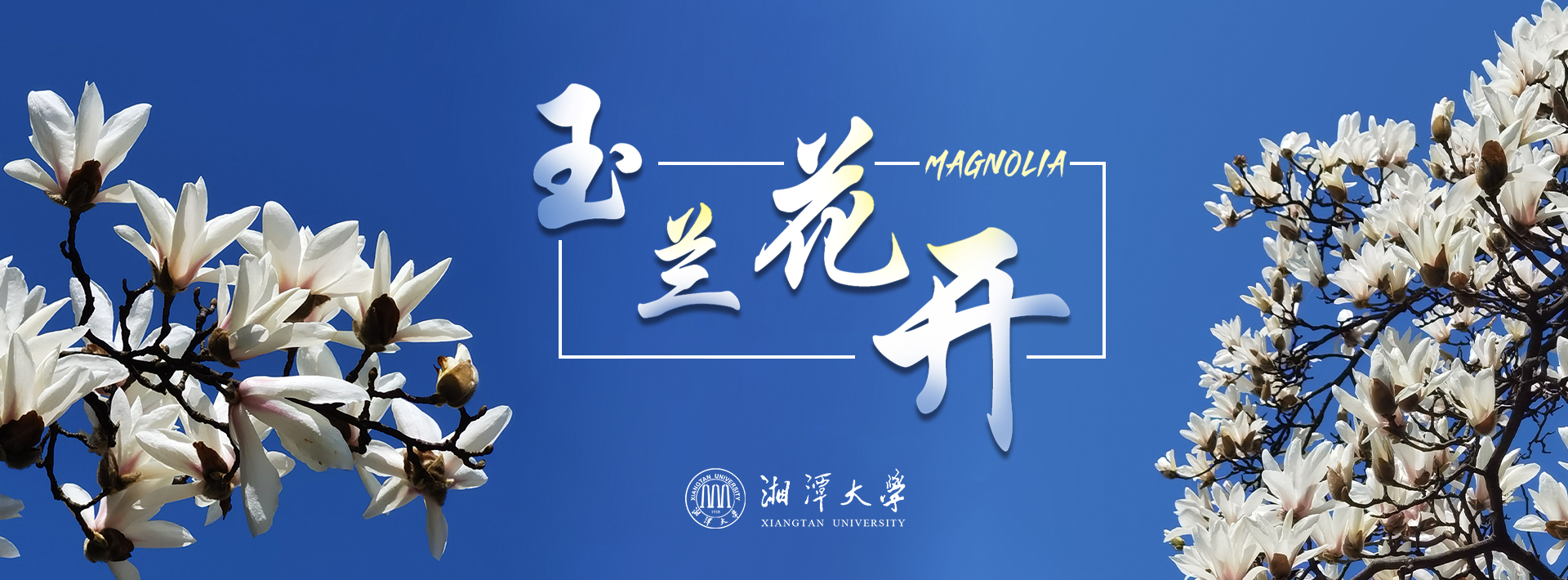 久久精品国产精品九九99