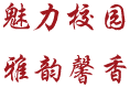 久久精品国产精品九九99